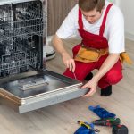 Zaczynając trudnić się dorodne rośliny, musimy umożliwić im właściwe warunki.